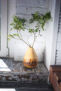 Деревянная манговоя ваза с корой
