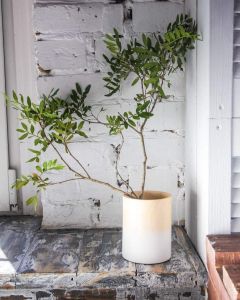 Бело-коричневая деревянная ваза
