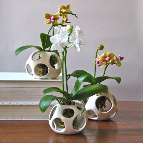 горшки для орхидей